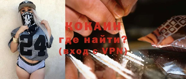 гидра Богородск
