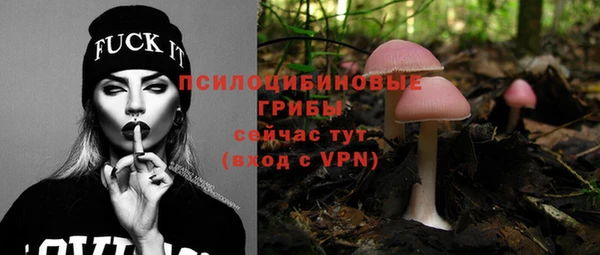 марки nbome Богданович