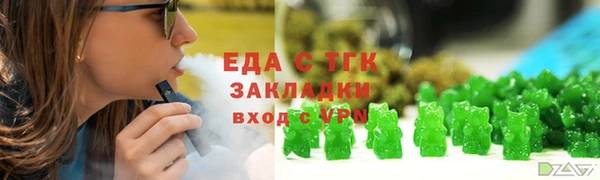 гидра Богородск