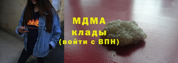 гидра Богородск