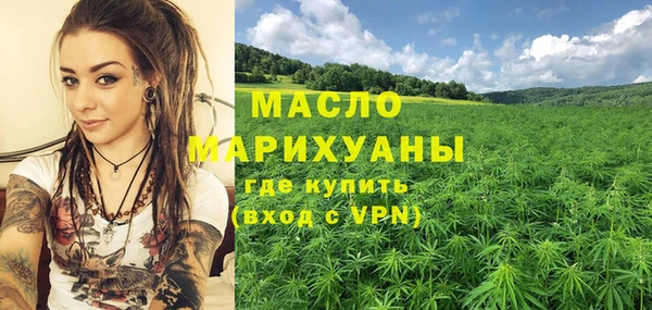 гидра Богородск