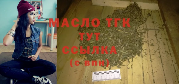 гидра Богородск