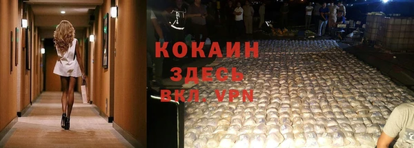 прущая мука Бородино