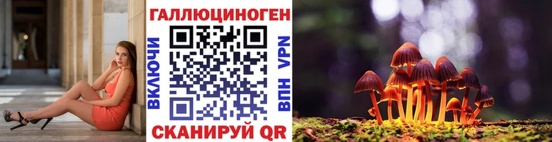 как найти закладки  Малмыж  Псилоцибиновые грибы Magic Shrooms 